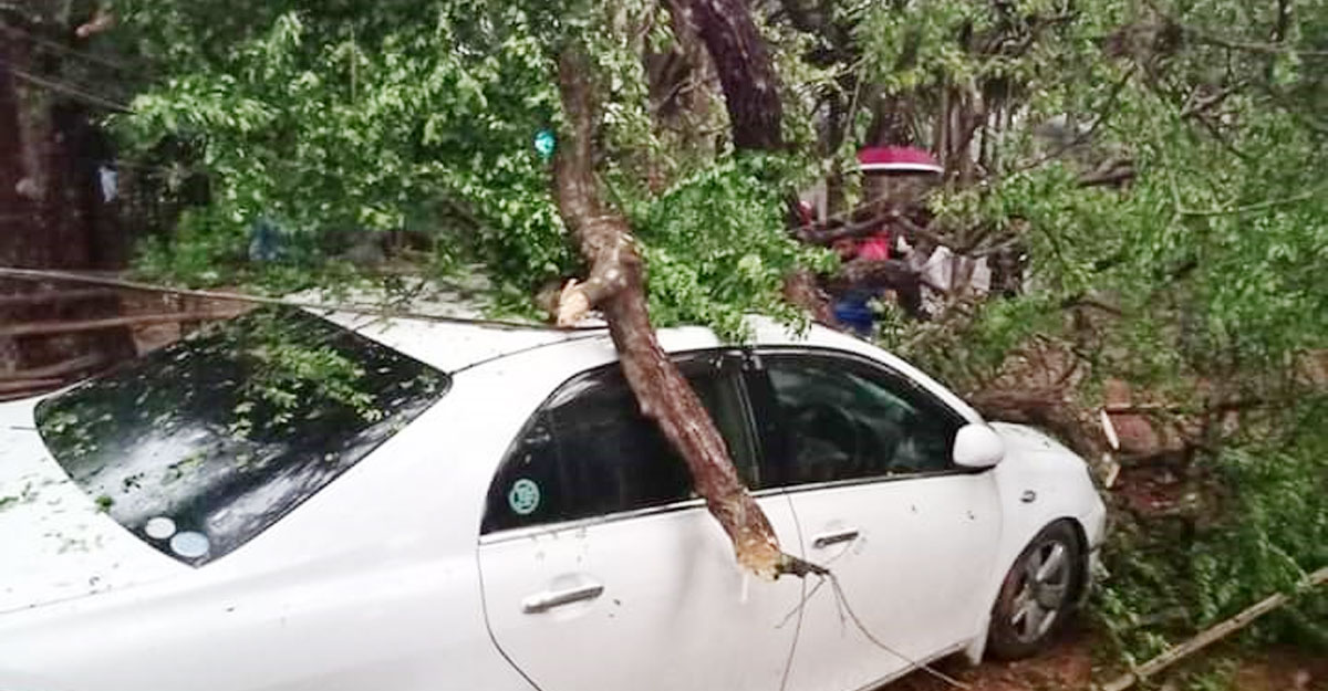 কালবৈশাখীর ছোবলে নিহত ১৩