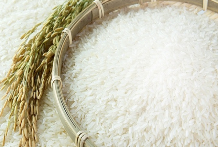 সুগন্ধি ধান কাটারিভোগ এখন জিআই পণ্য