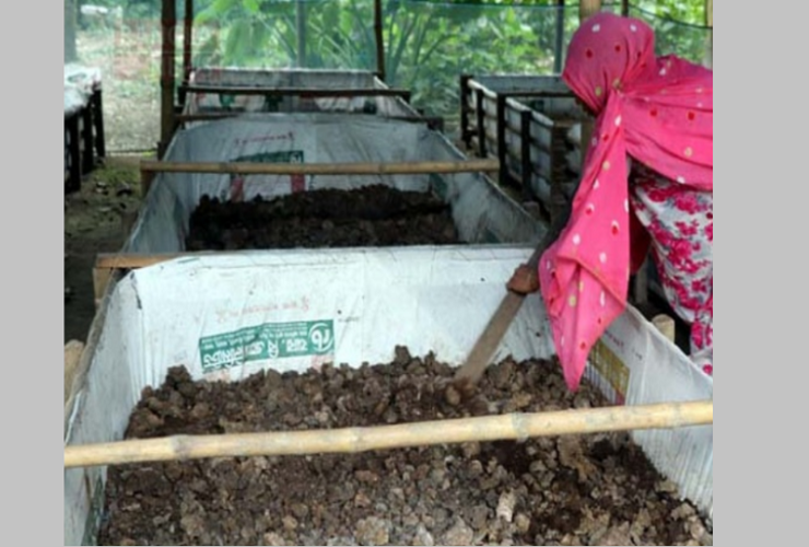 কেঁচো সারে ঘুরেছে ভাগ্যের চাকা