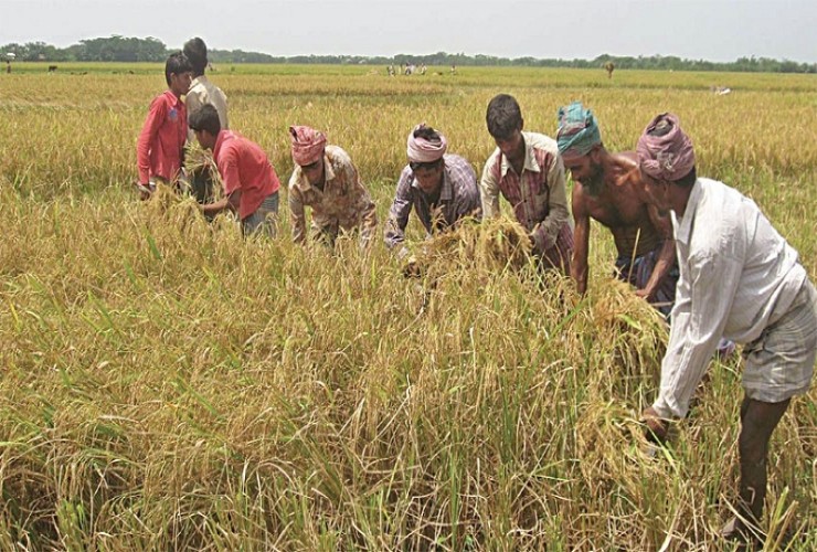 অ্যাপে আগ্রহ কম কৃষকের