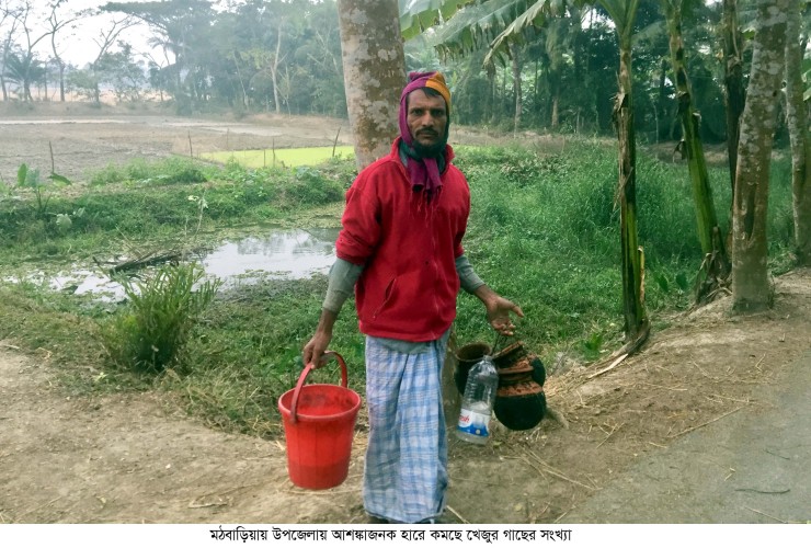 মঠবাড়িয়ায় হারিয়ে যাচ্ছে সুস্বাদু খেজুরের রস