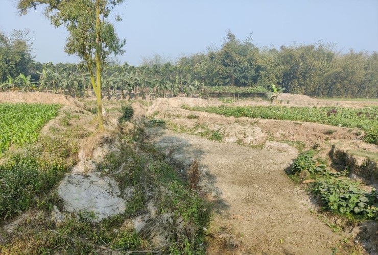 নালার ভাঙনে হুমকিতে আবাদী জমি, শঙ্কায় কৃষকরা
