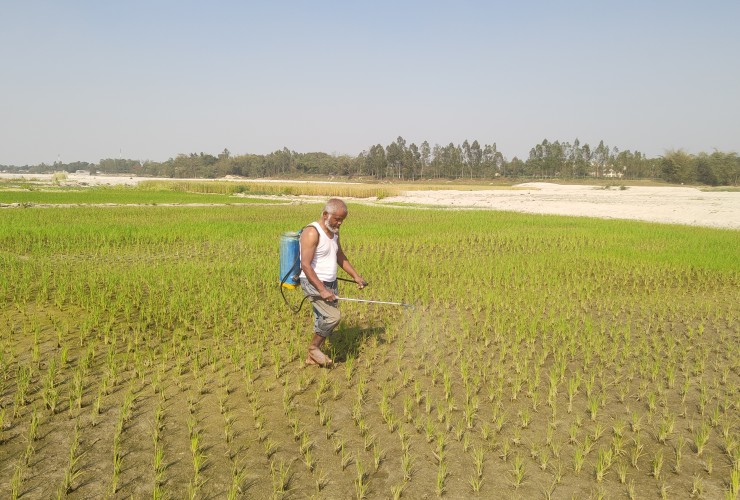 আত্রাই নদীর চরে কৃষকের স্বপ্ন
