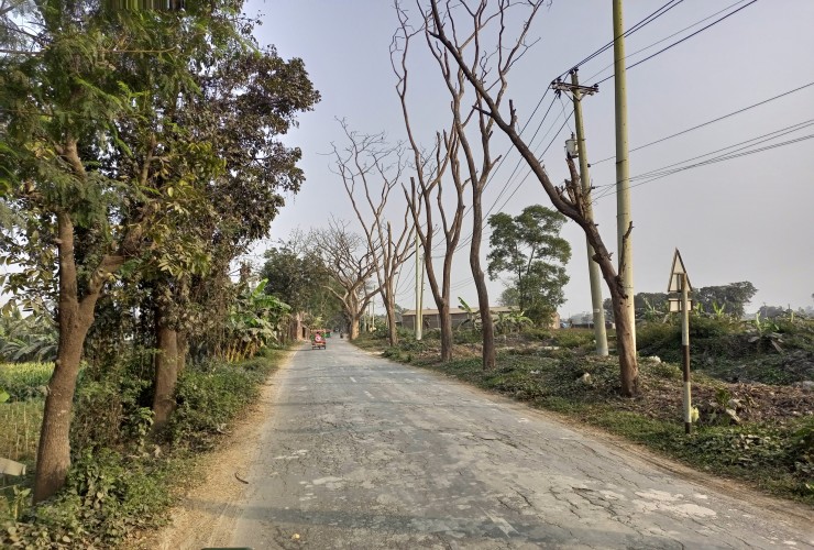 ধামরাই-কালামপুর সড়ক যেন মরণ ফাঁদ