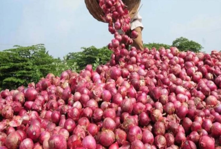 ভারত থেকে আমদানি করা পেঁয়াজ আসবে আগামী সপ্তাহে’